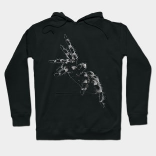 Tarantula, spider Hoodie